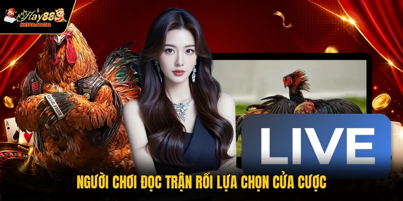 Người chơi đọc trận rồi lựa chọn cửa cược